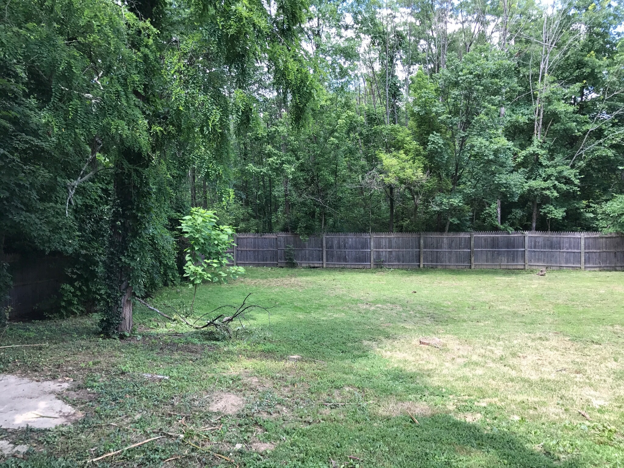 Part of back yard fenced or mostly - 8330 Clough Pike
