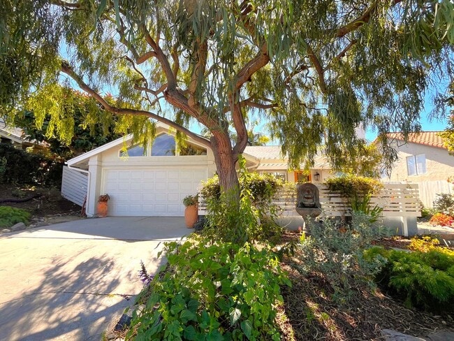 Building Photo - Most Charming Home in La Costa