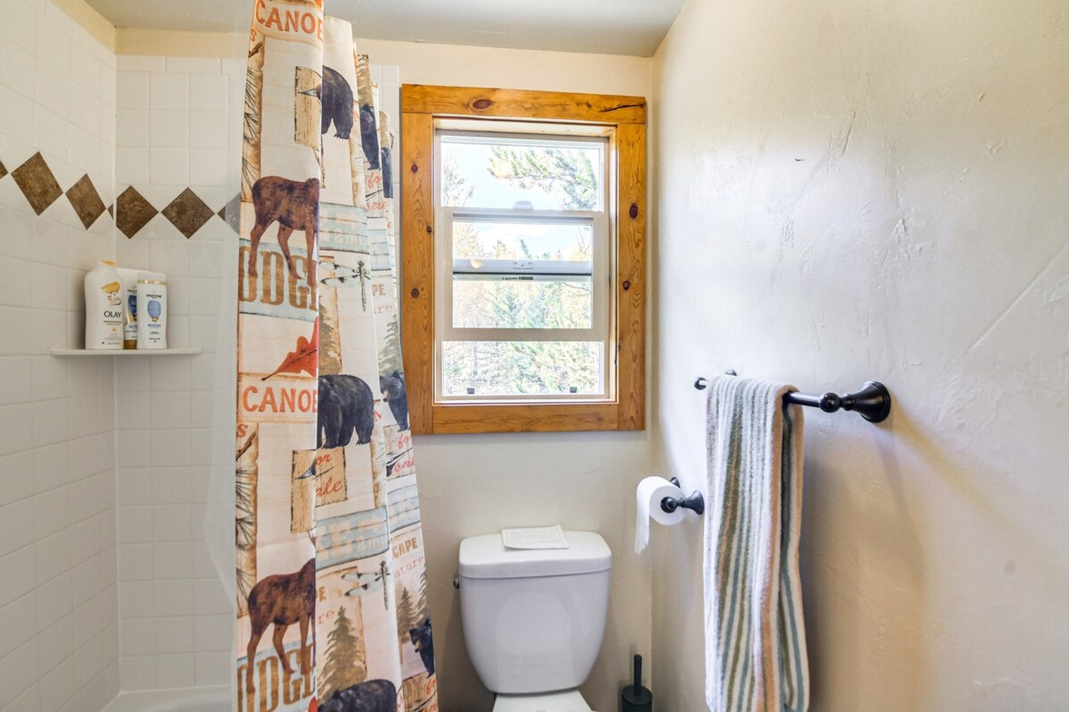 Building Photo - 609 Buffalo Ridge Rd