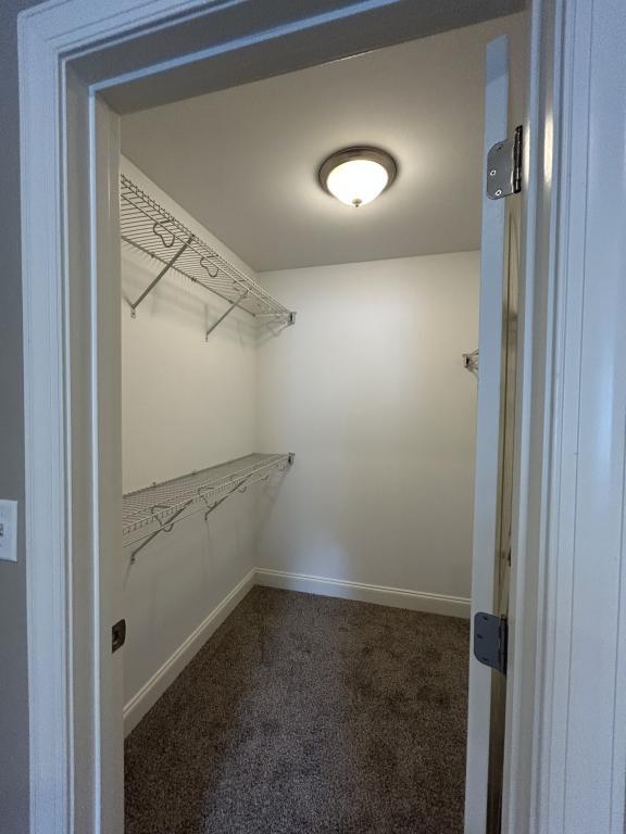 Building Photo - 2812 Berry Patch Ct