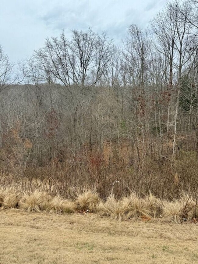 Building Photo - 3BR 2.5BA Home w/Resort Style Amenities at The Mills at Rocky River