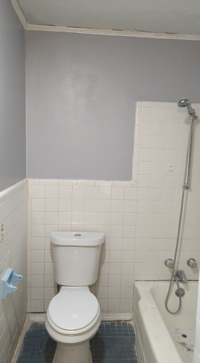 Master Bath - 2226 shady grove road