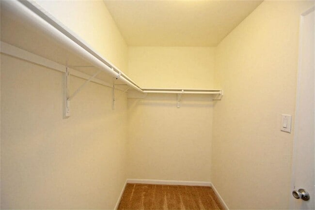 Building Photo - 3734 Aubergine Springs Ln