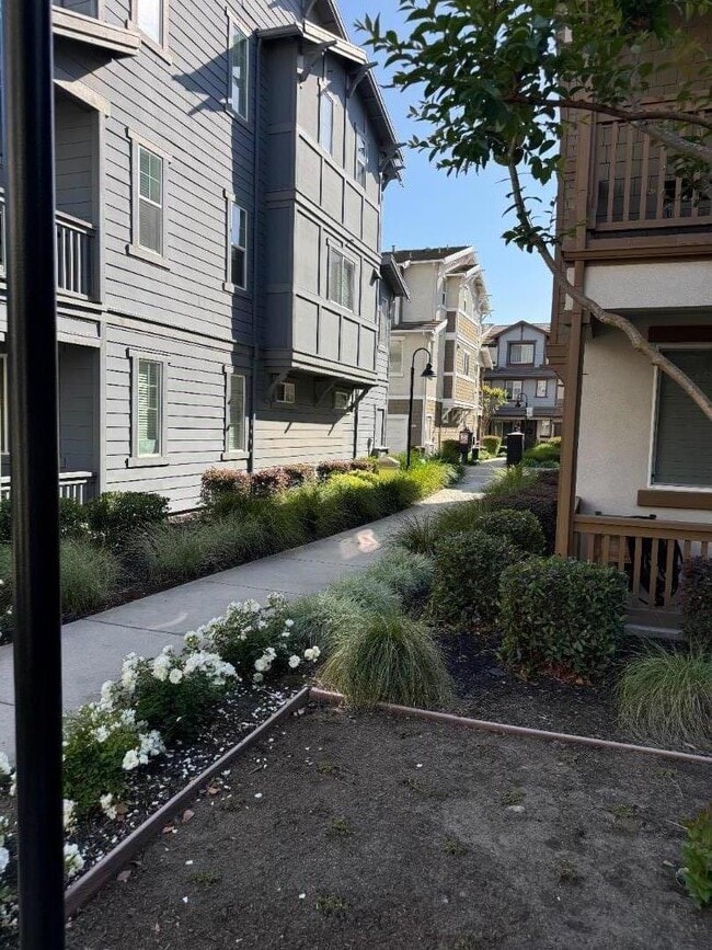 Building Photo - 17075 St Cecilia Ln