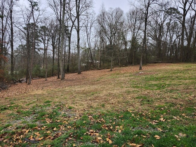 Building Photo - Spacious 3 bedroom 2 bath home in Chickamauga, GA