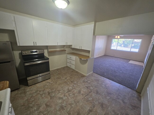 Building Photo - 1517 Solano St