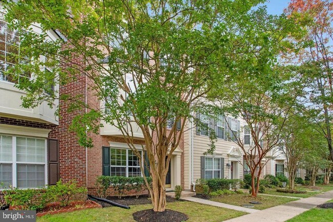 Building Photo - 4903 Chaste Tree Pl