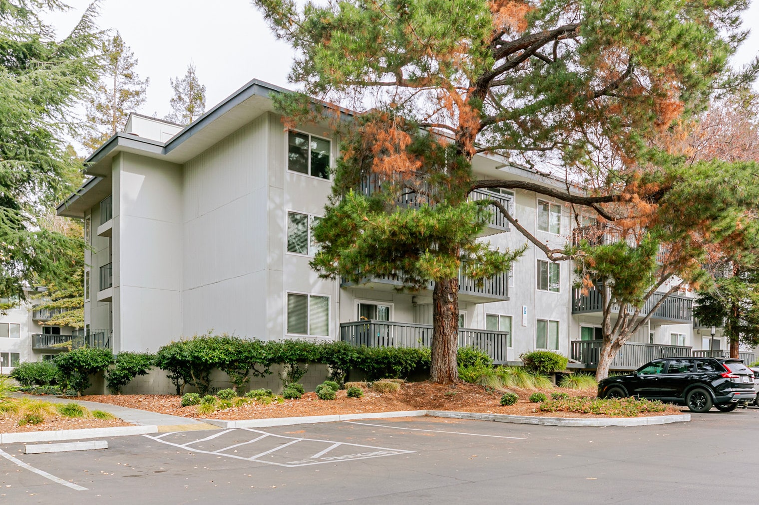 Building Photo - 655 S Fair Oaks Ave