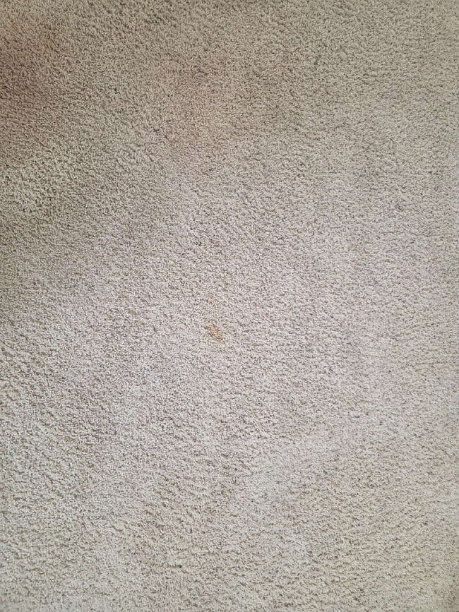 Building Photo - Spacious 4-Bedroom Home for Rent in Kings ...