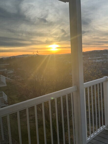 Building Photo - 1545 Capri Ct