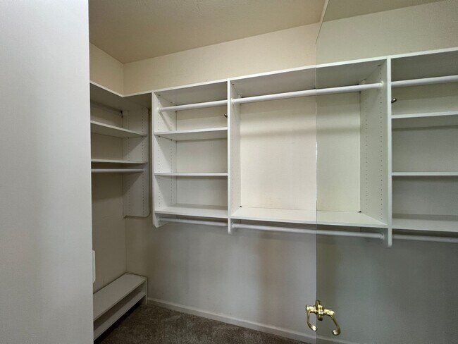 Building Photo - 4 bedrooms, an office and single-story home with a pool!!