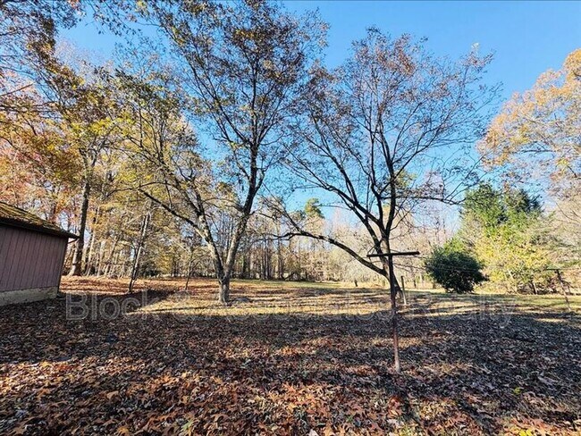 Building Photo - 711 N Fayetteville St