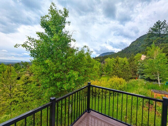 Building Photo - Fully Remodled Cabin in Palmer Lake with Amazing Views