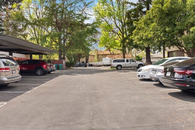 Building Photo - Beautiful Sawmill Commons Condo!