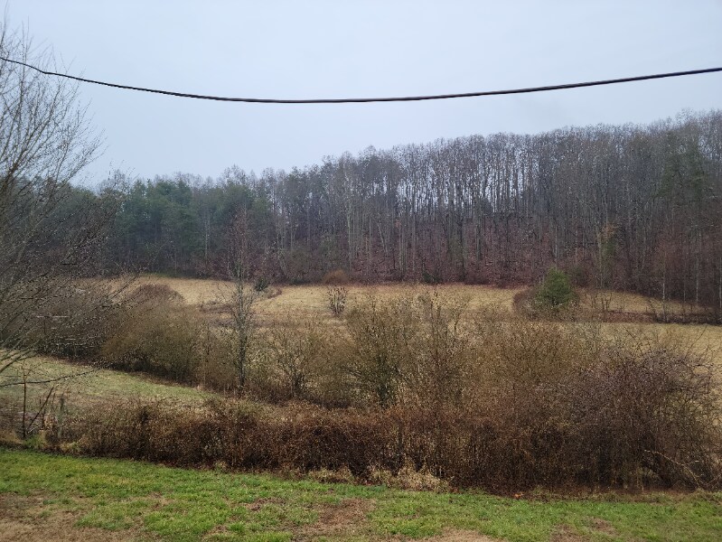 Building Photo - 885 Rural Hall-Germanton Rd