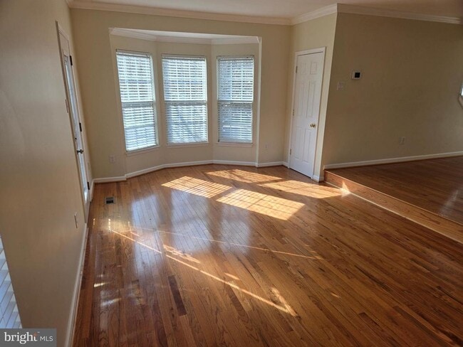 Building Photo - 300 Cinnabar Ln