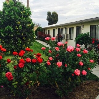 Building Photo - 263 N Florence St