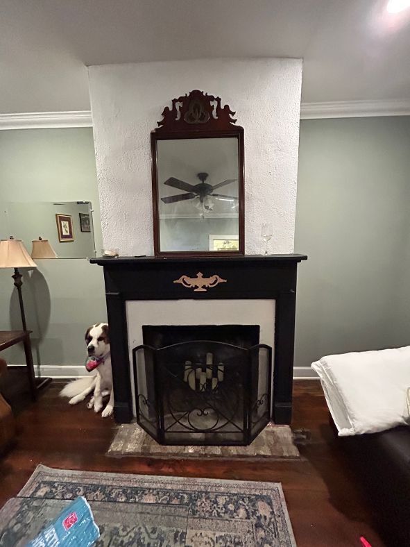 Building Photo - 13 Elizabeth St