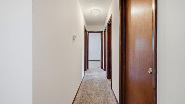 Building Photo - 4432 White Rd