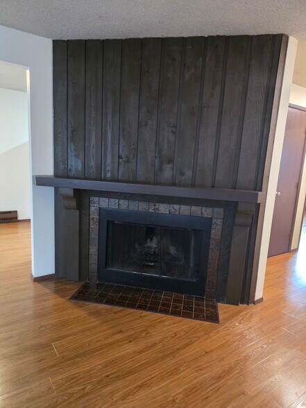 woodburning fireplace - 2962 O St SE