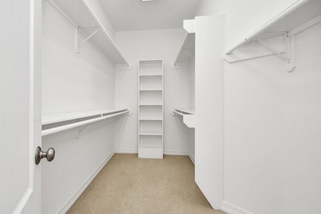 Building Photo - 833 Rosine St