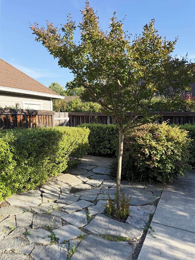 Building Photo - Eastside Sonoma | Single-Level Living Near the Plaza
