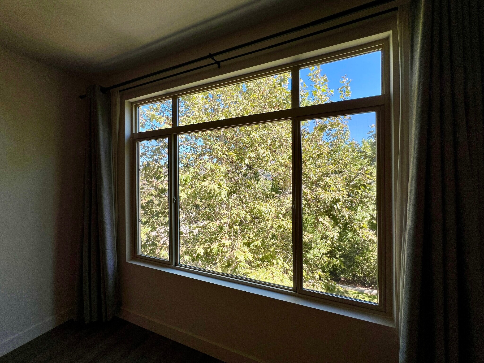 Peaceful view from the living room - 8355 Station Village Ln