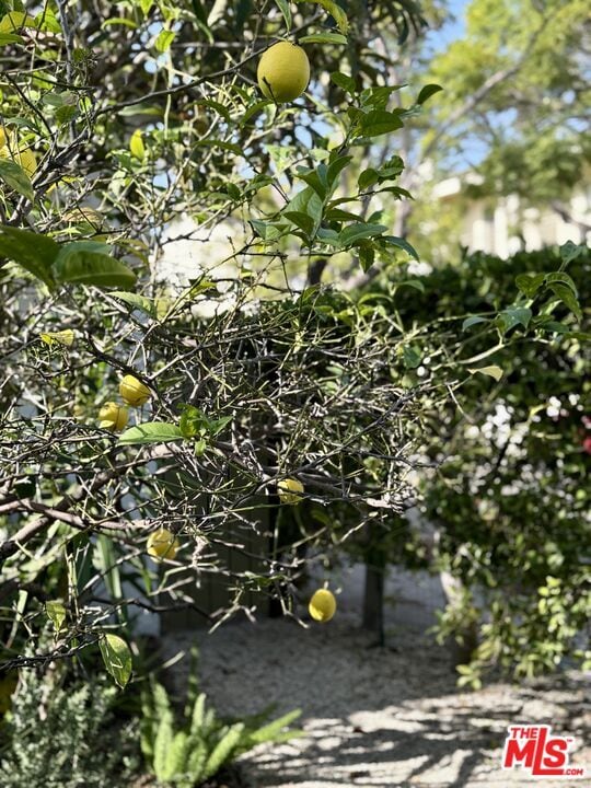 Building Photo - 953 N Martel Ave