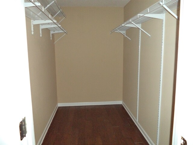 Building Photo - 2306 Sir Edward Ln