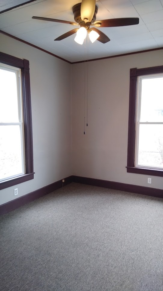 Building Photo - 414 S Prince St
