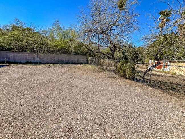 Building Photo - 1239 N Alamo Ave