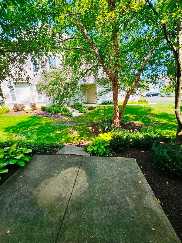 Building Photo - 2944 White Thorn Cir