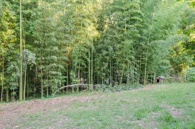 Building Photo - 1233 Cheshire Ave