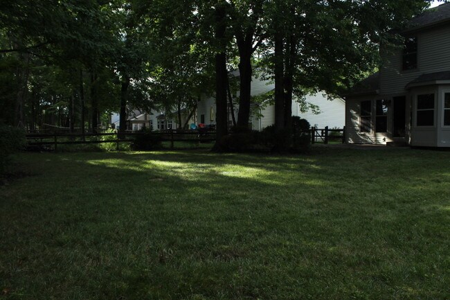 back yard - 1343 Sprucewood Ct