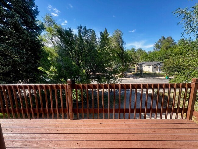 Building Photo - Charming 4 Bedroom close to Patty Jewett Golf Course