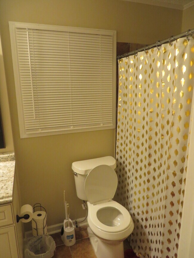 main hallway bathroom - 3755 Cedar Hurst Way
