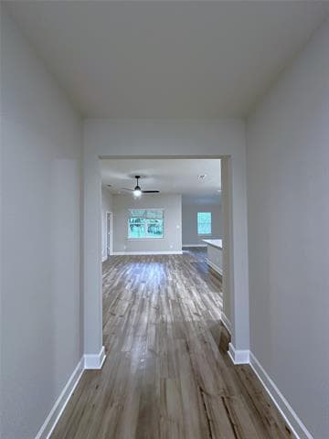 Building Photo - 2024 Brentwood Dr