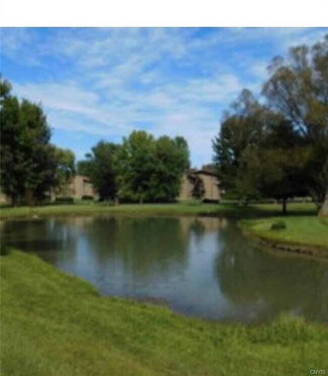 Building Photo - 141 Watertree Dr