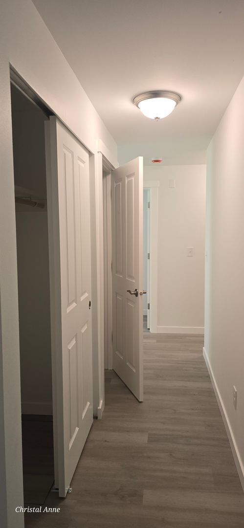 Building Photo - Fully Remodeled 3 bedroom in Grapeview