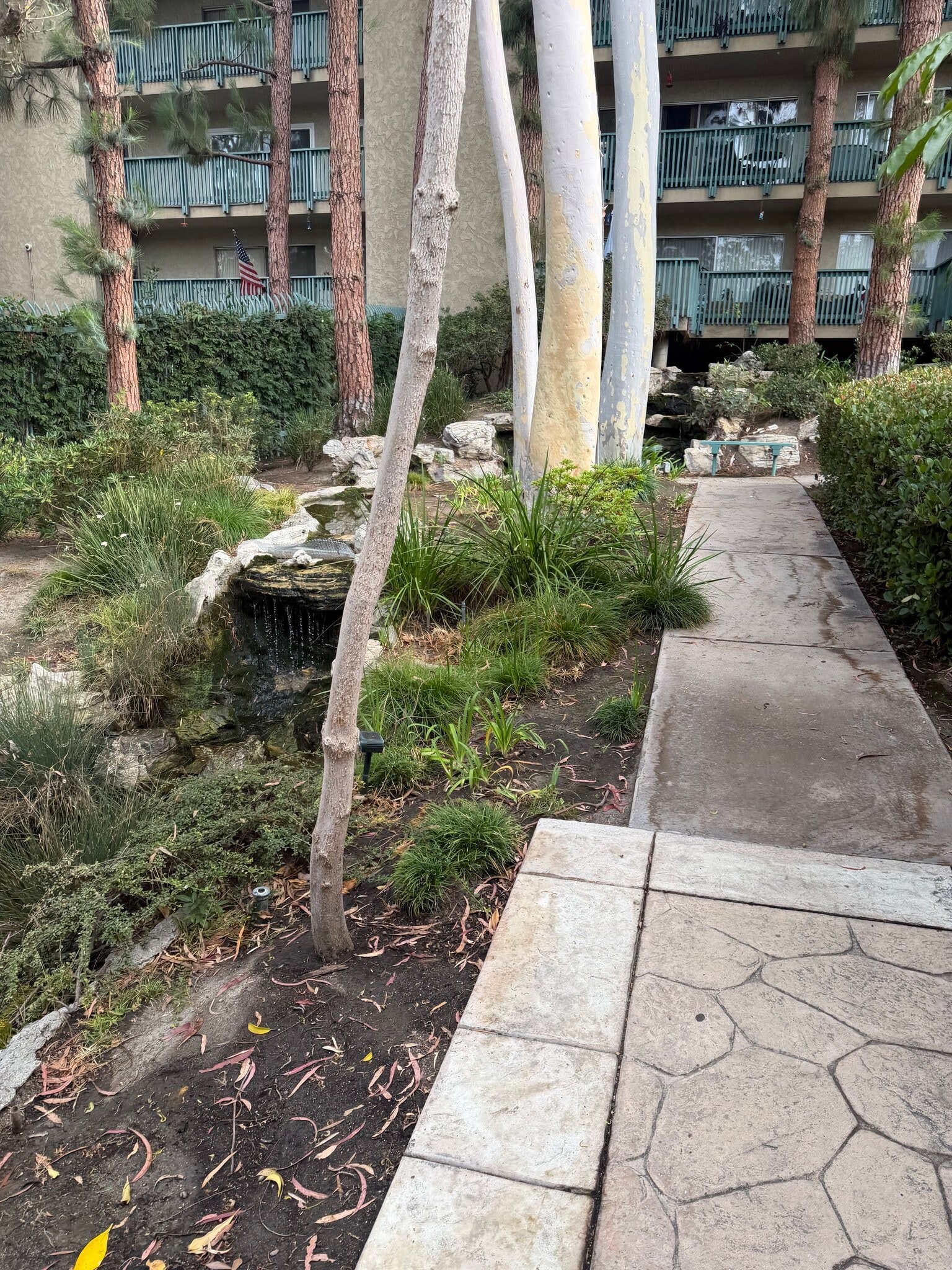 Building Photo - 576 N Bellflower Blvd