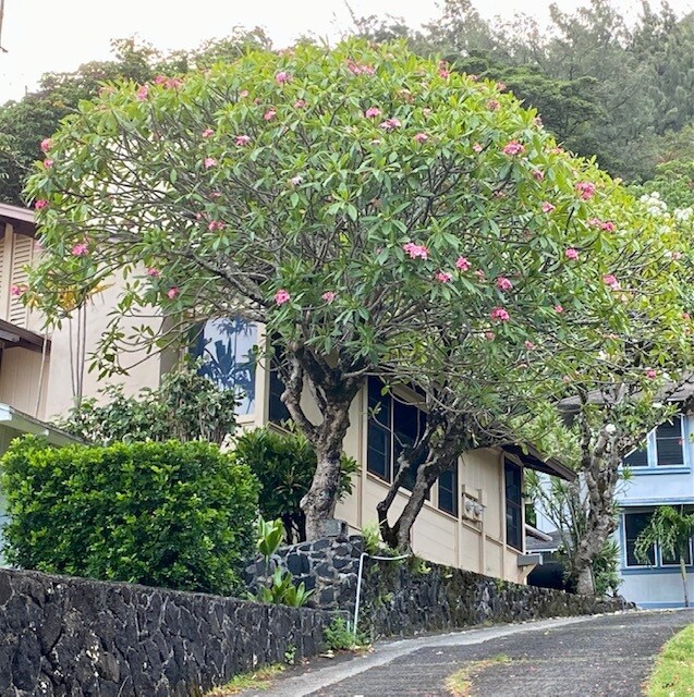 Building Photo - 2886 Komaia Pl