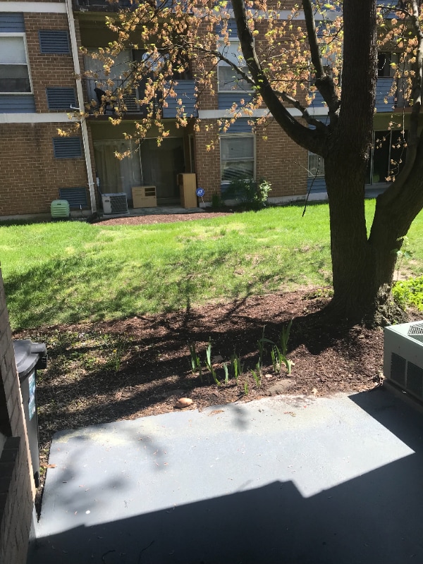 Building Photo - 3819 St Barnabas Rd