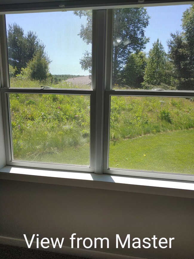 Main Bedroom View of Eastern Slope - 433 E Sleights Rd