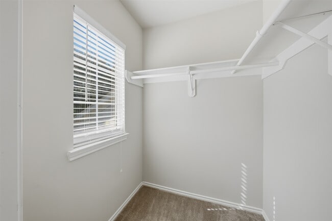 Building Photo - 26038 Palmdale Estate Dr