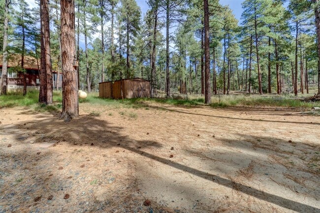 Building Photo - Rent this Cabin that backs to Prescott Nat...