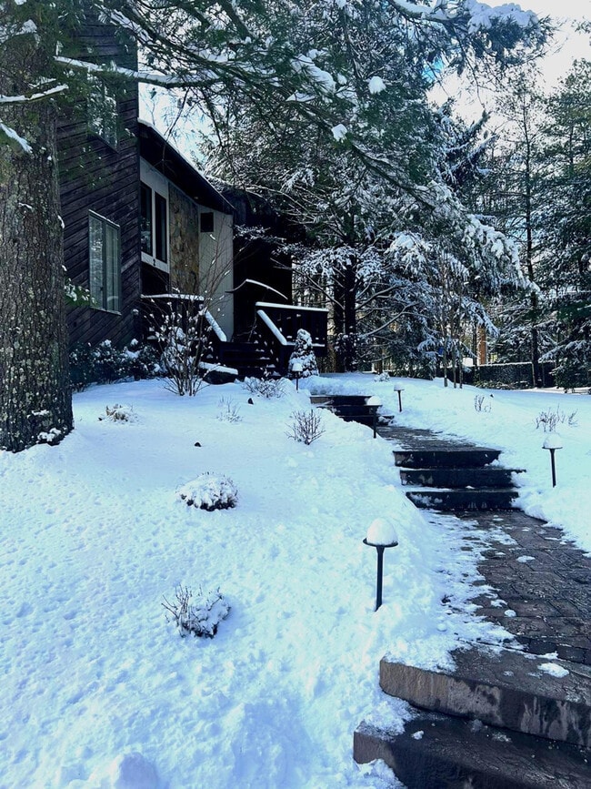 Building Photo - 2A Cherry Ln