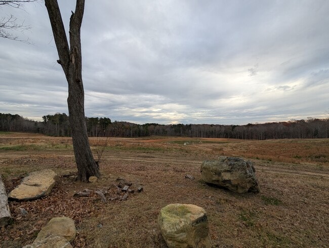 Building Photo - 1125 Lily Pad Ln