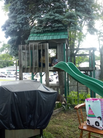 Building Photo - 261 Maple St