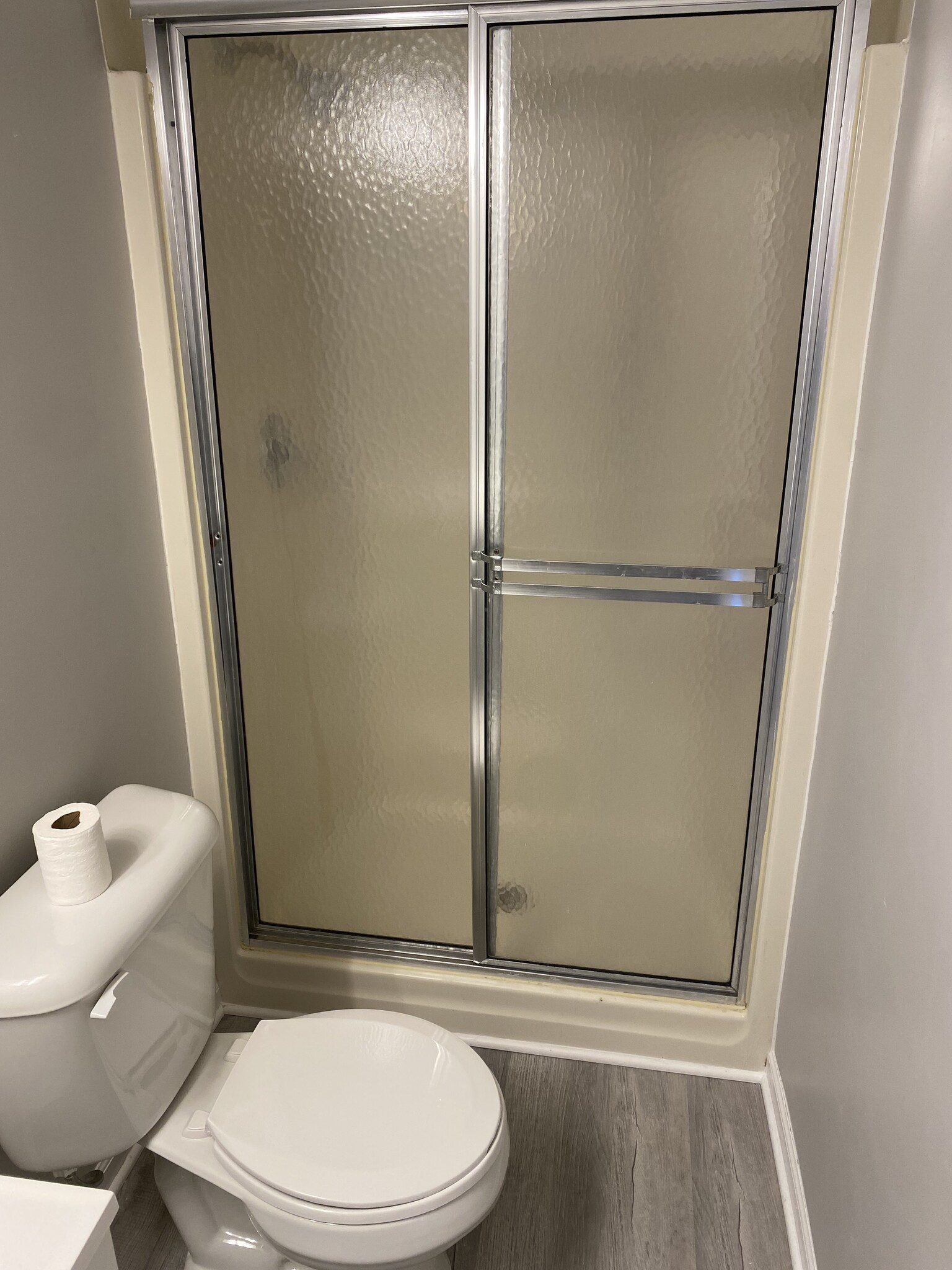 Downstairs Bathroom - 315 Lakeland Dr