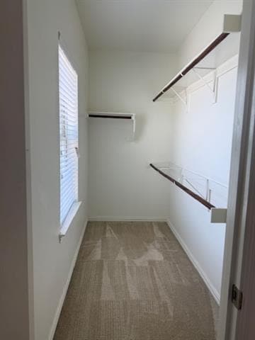 Building Photo - 4119 Nia Dr